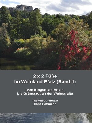 cover image of 2 x 2 Füße im Weinland Pfalz (Band 1)